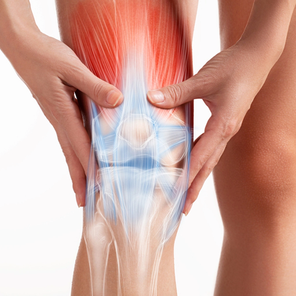 Joint and Muscle Pain